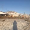 冬のモンゴルの仕事